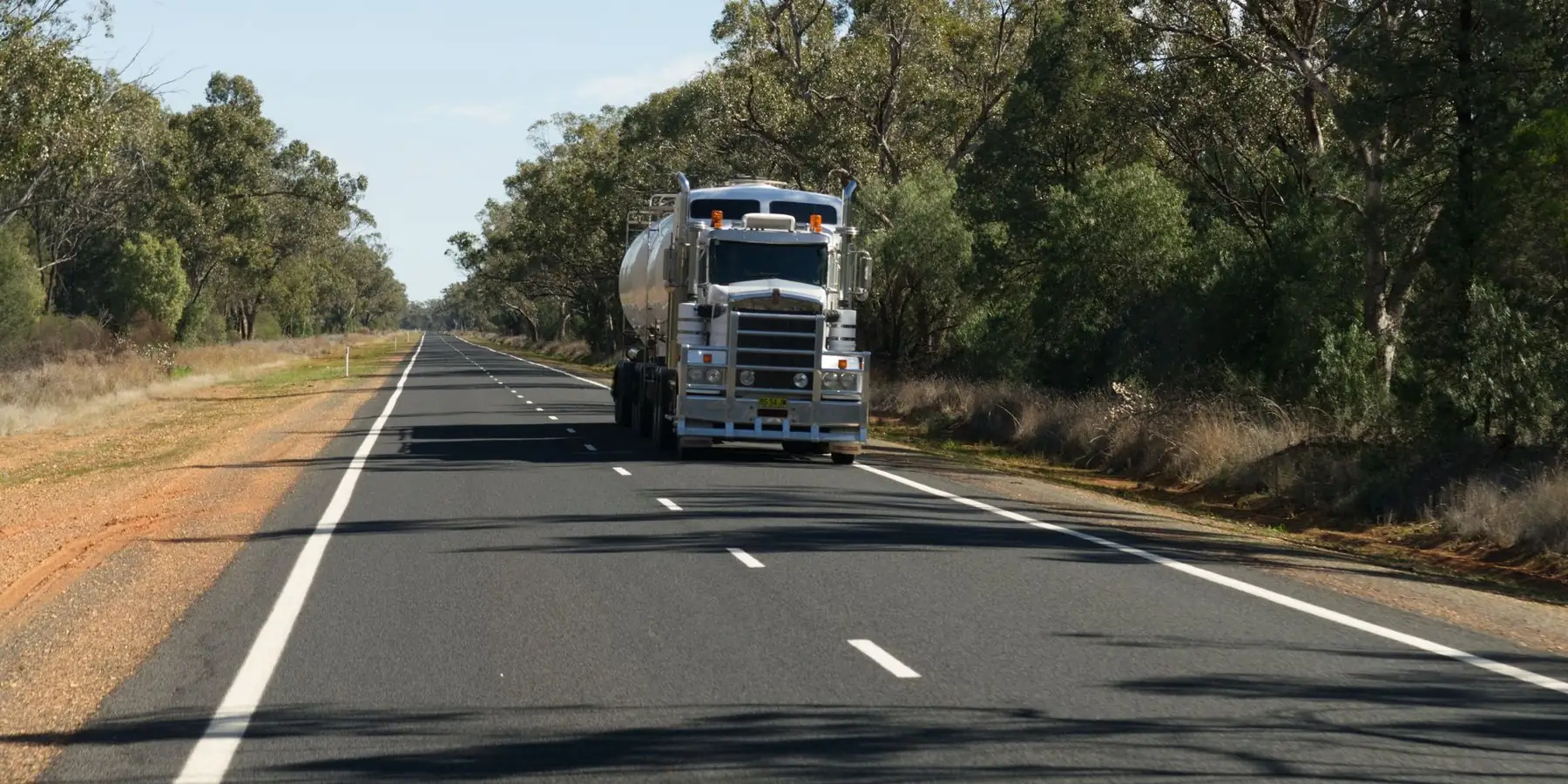 Camión en una ruta entre árboles